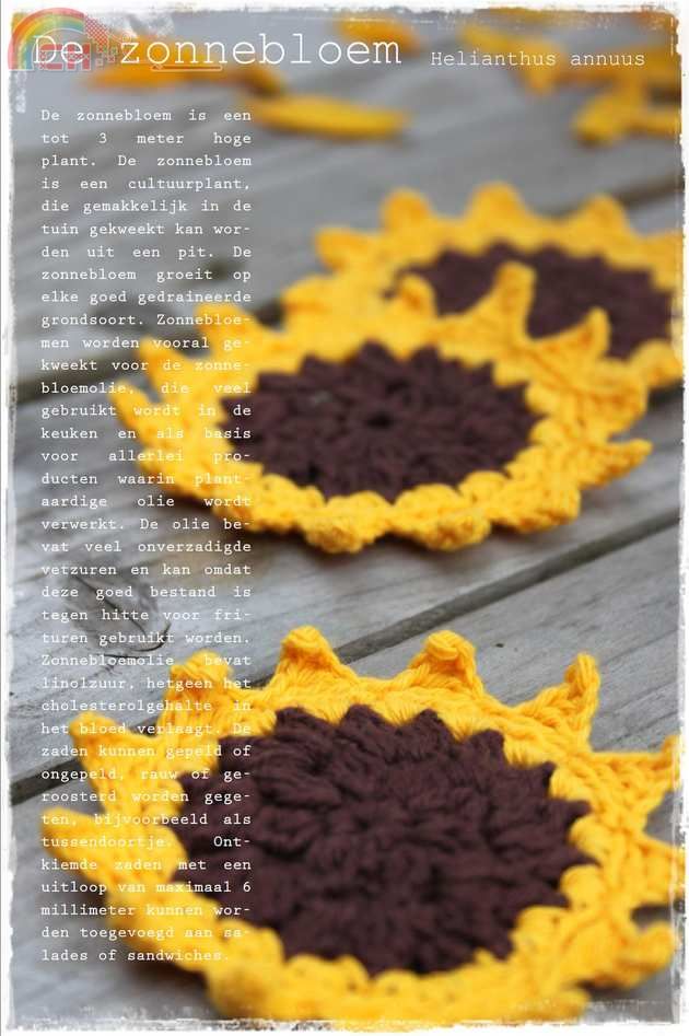 Inhaken - Sunflower - Dutch - free.jpg