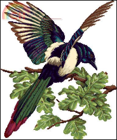 Zolotoe Runo Z-020 Long-tailes magpie.jpg