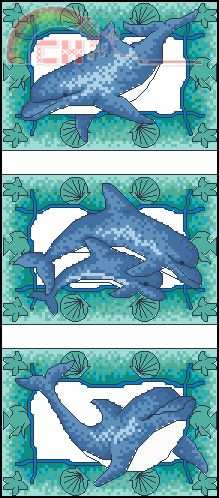 blue-lagoon-dolphins.jpg
