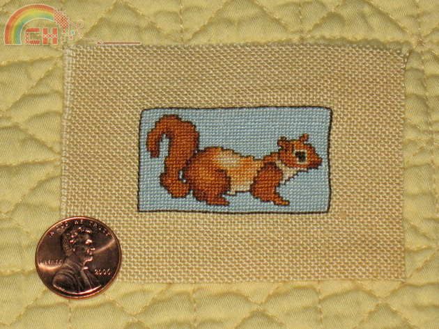 Squirrel.jpg