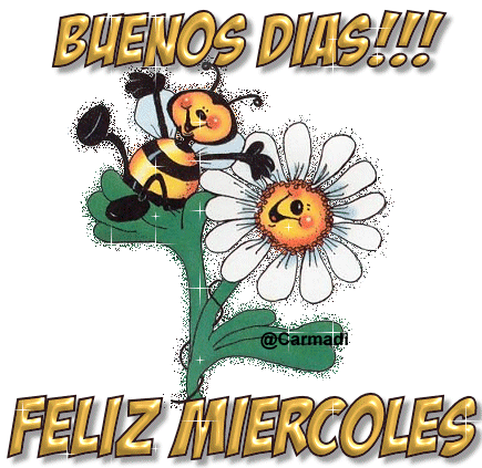 miercoles4.jpg