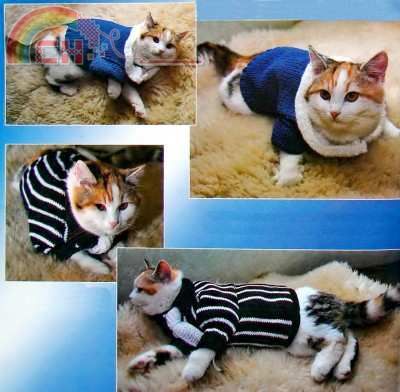 свитер для кошки.jpg