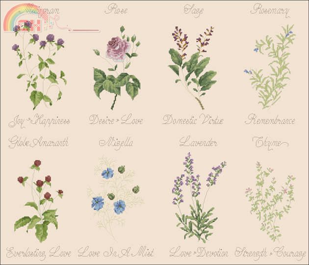 Wedding Herbs.jpg