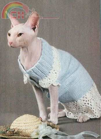 Голубое платье для кошки.jpg