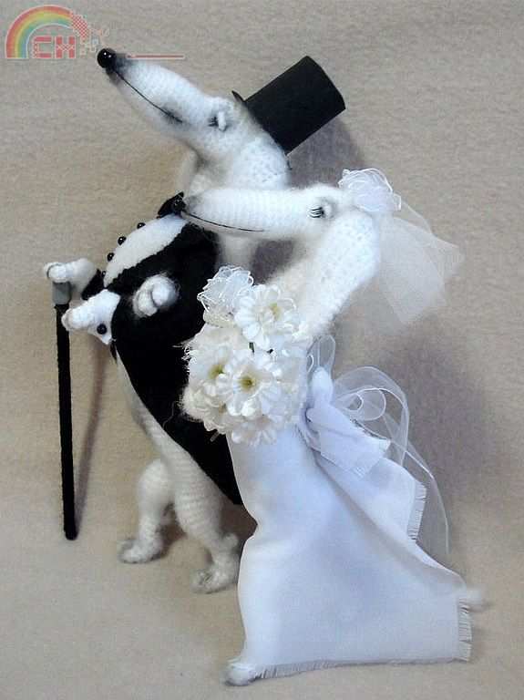 grooms dogs 1.jpg