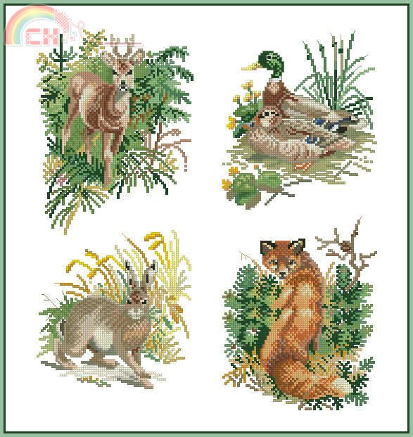 ER_CSCOLL_254_Animal_Nature.jpg