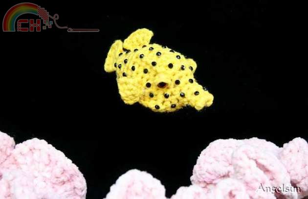 Cubicus the boxfish
