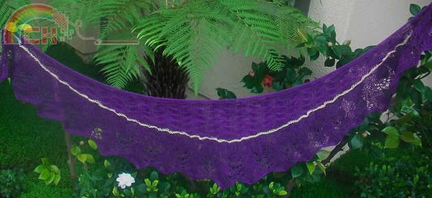 AfricanViolet 1.jpg