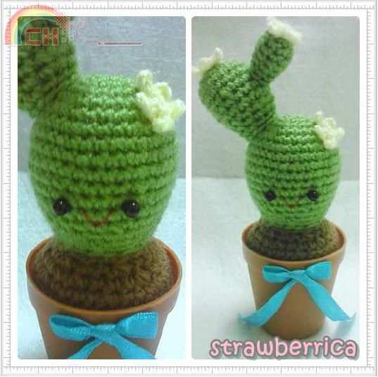 berriiiz big-cactus.JPG