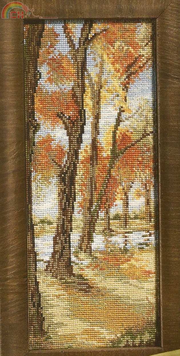 Fall Trees.jpg