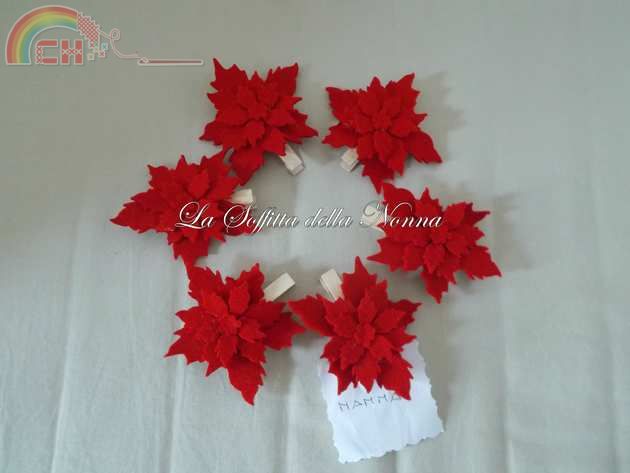 SEGAPOSTO POINSETTIA X CRI.jpg