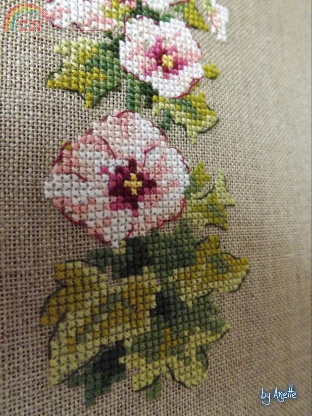 Roses