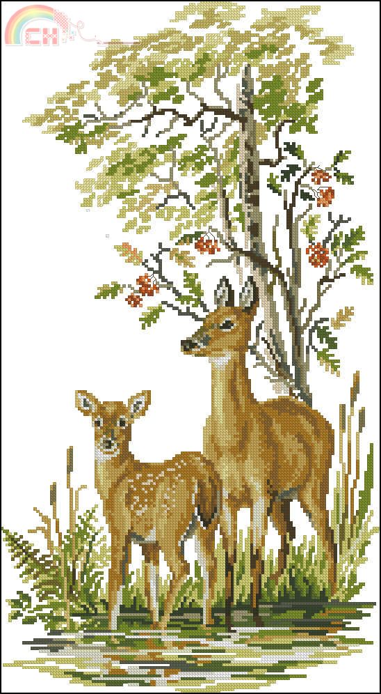 RTO M109 - Deer with Fawn.jpg