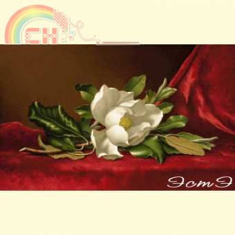 product_img_1449_340x340.jpg