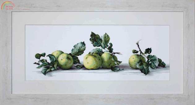 LUCA-S B2259 Apples.jpg