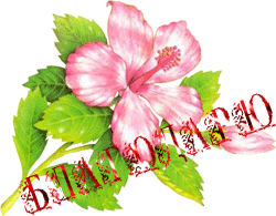 cdd7438c720f.jpg