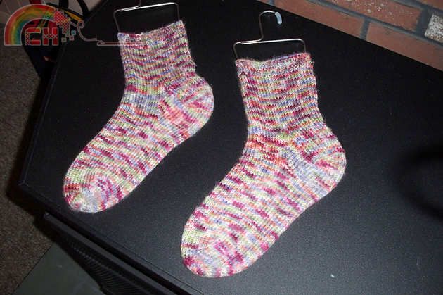100_2836_medium2.JPG