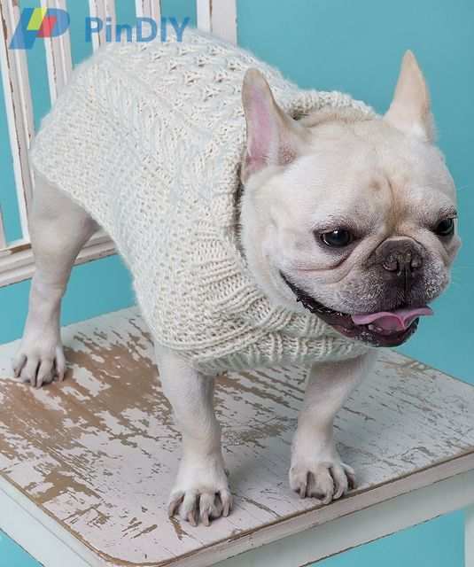 lw3192_cable_dog_coat_0049-project_medium2.jpg..jpg