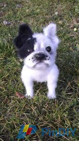 pre_1452707232__buldog_francese_008.jpg