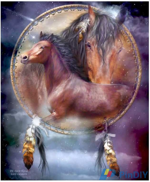 horses.jpg