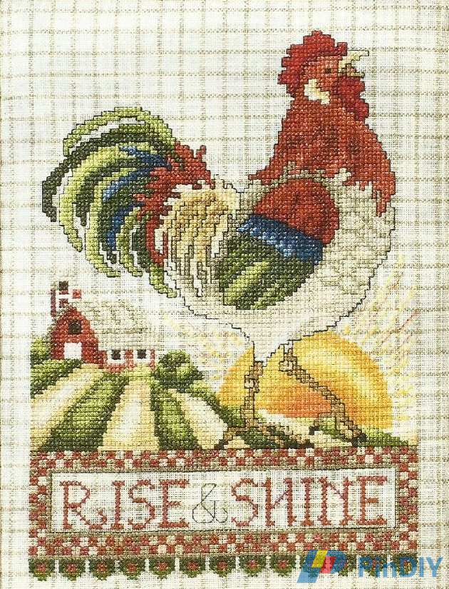 Rise &amp; Shine.jpg