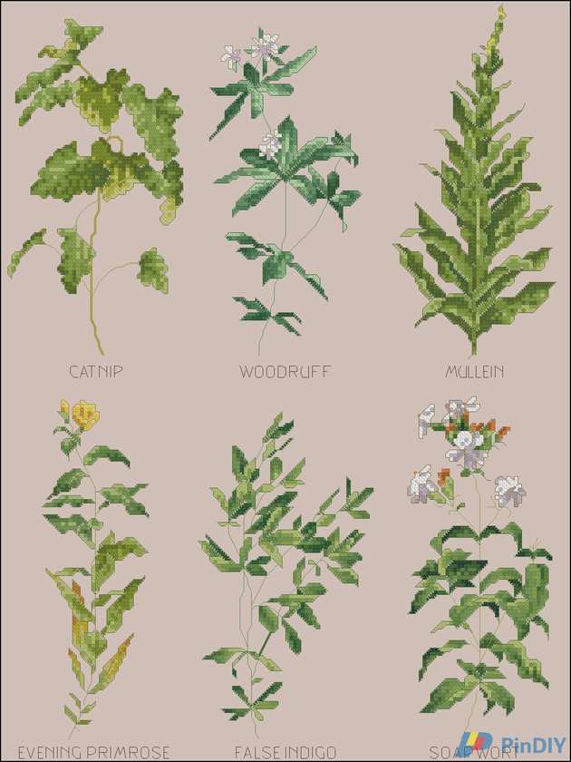 Herb Garden.jpg