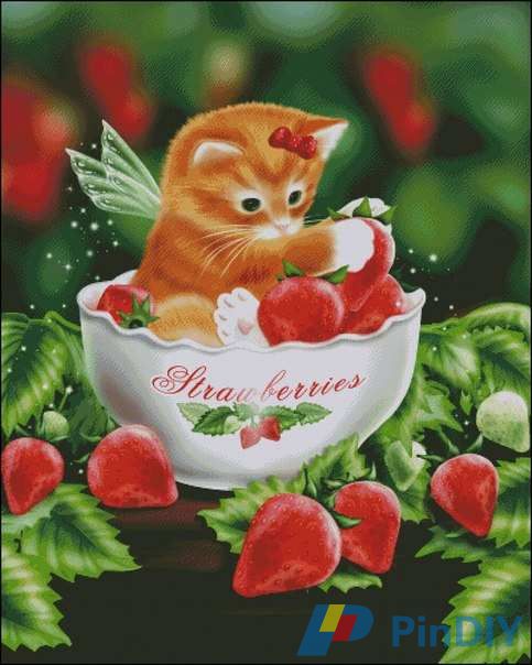 DAWN12354 Strawberry Kitten.jpg