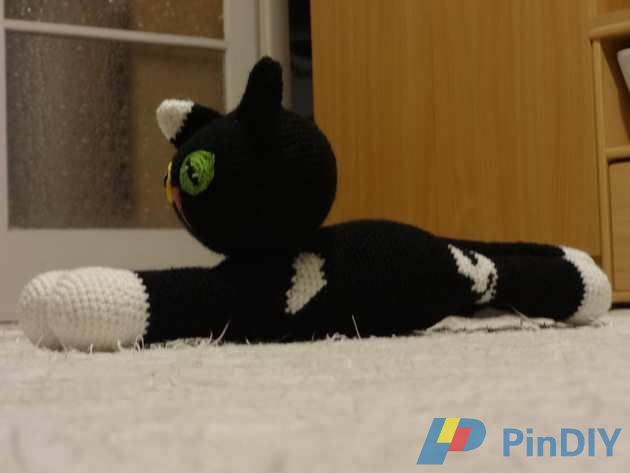 balck catt.jpg