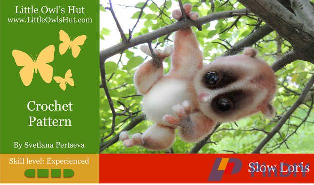 Slow Loris-1.jpg