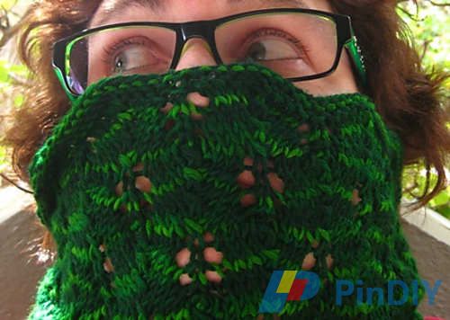 fern_front_on_tood6_medium.jpg