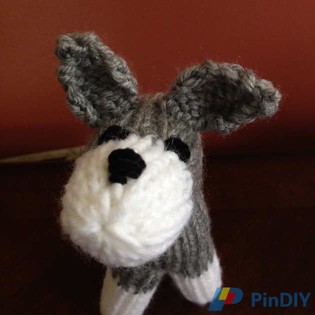 2015-06-18_Wolf_1_medium2.JPG