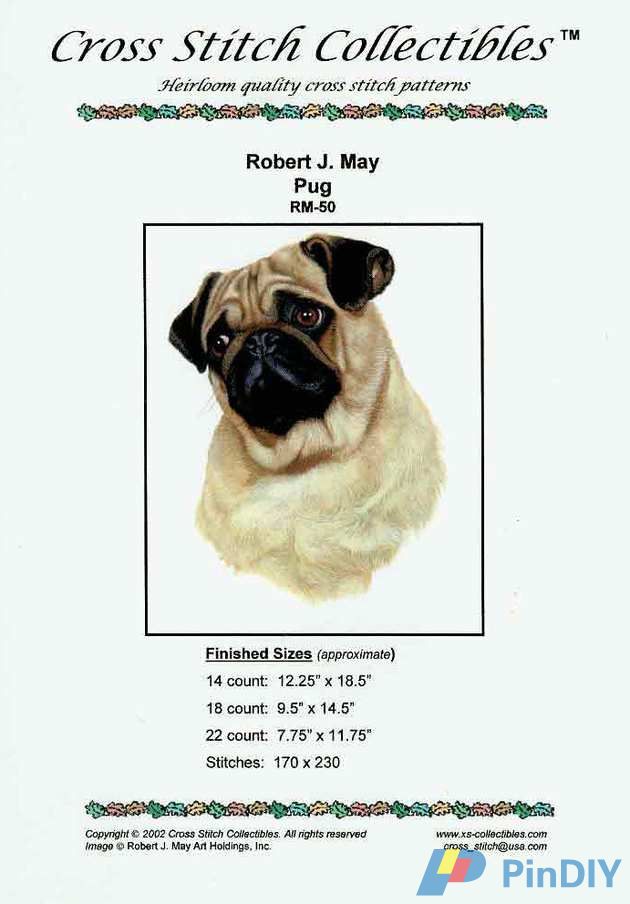 pug (1).jpg