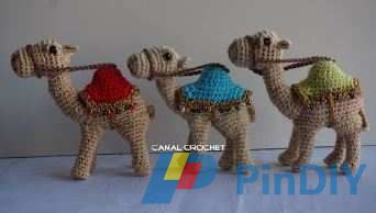 Camel.JPG