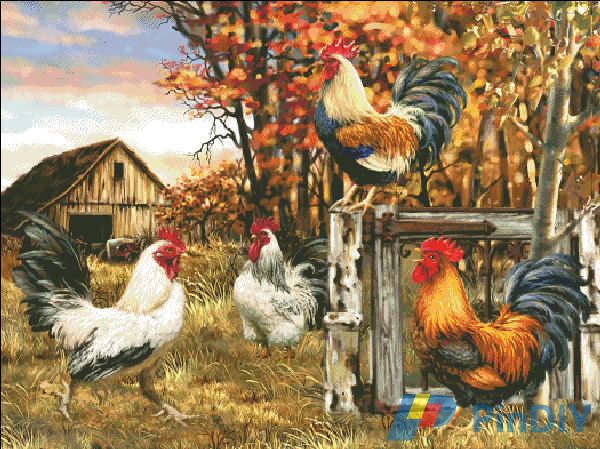 Rooster Farm_1.jpg