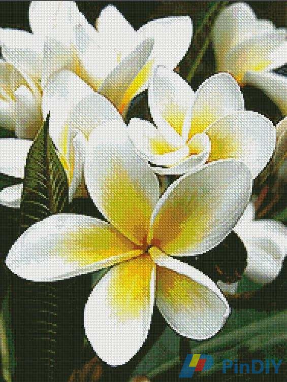 Artecy Cross Stitch - Frangipani 1 [188x250]