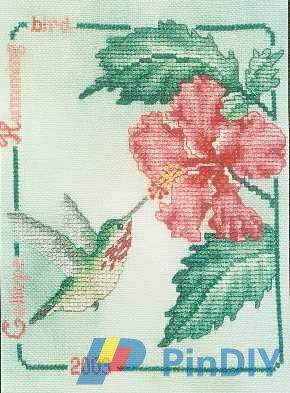 2003 Calliope Hummingbird.jpg