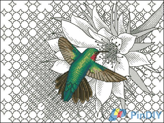 Hummingbird.jpg
