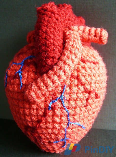 Human Heart 1.jpg