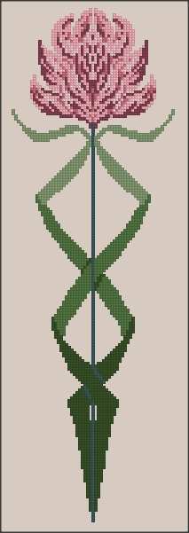 Clover (2).jpg