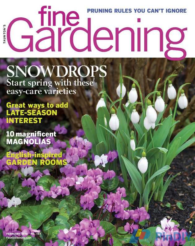 Tautons Fine Gardening (1).jpg