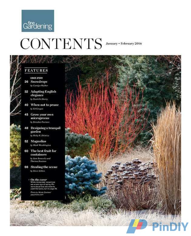 Tautons Fine Gardening (5).jpg