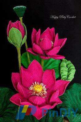 Sacred Lotus Flower