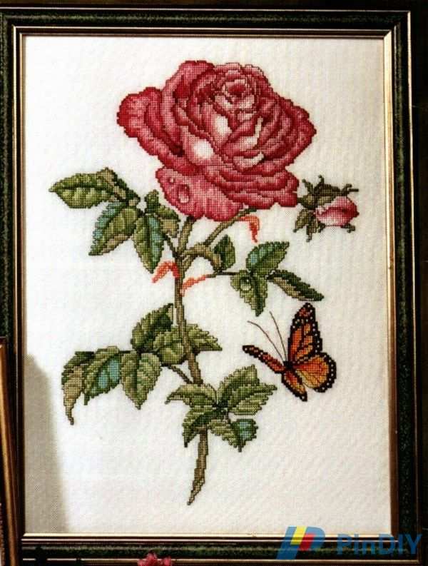 rosa 10.jpg