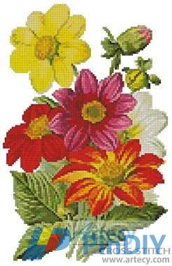 Single Dahlia (65) 94x147