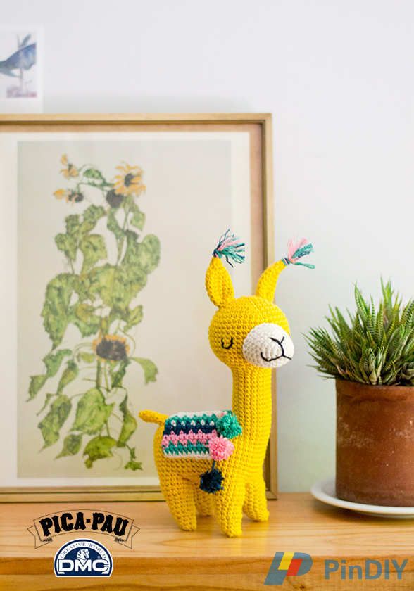 Marcia Alpaca