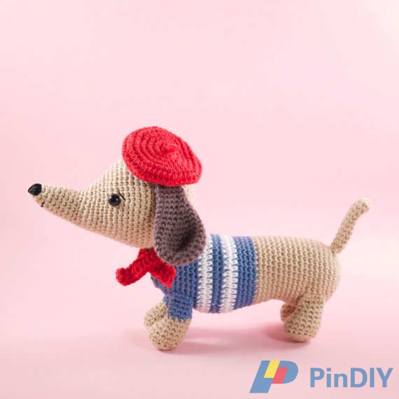 Manu the Dachshund Sausage Dog 