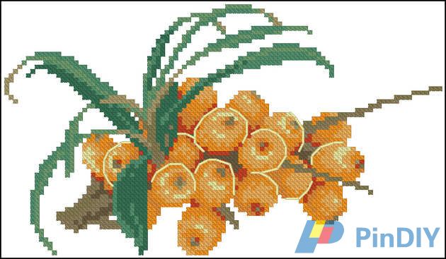 Obeh 784.jpg