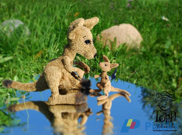 Kangaroo Tenderness 