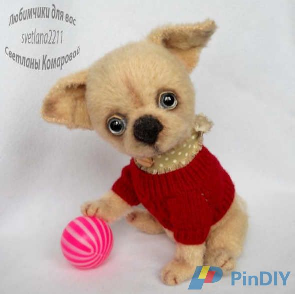 Chihuahua Chip