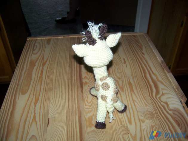 100_1142 (Medium).JPG